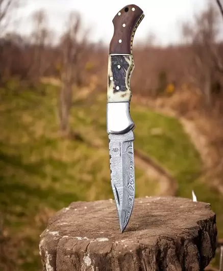 folding-knives-124376-1737999349